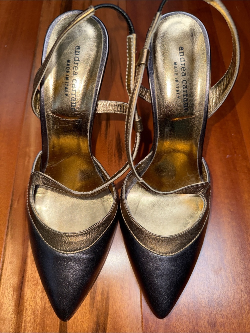 Andrea Carrano Silver and Gold Pointed-Toe Slingback Heels